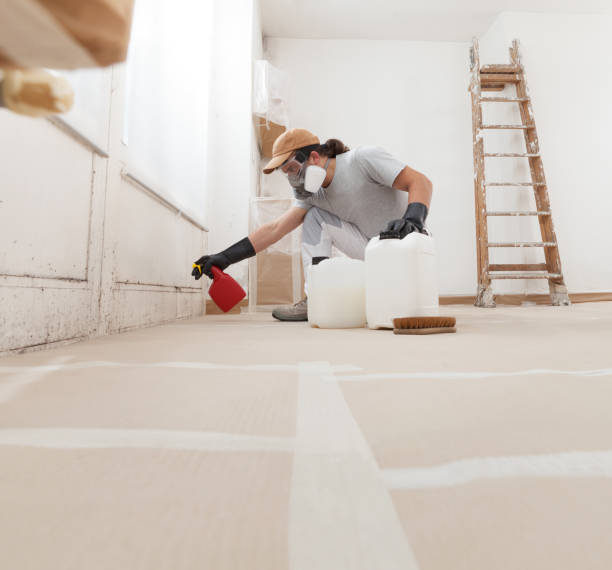 Best Asbestos and Lead Testing During Mold Inspection  in Louisiana, MO